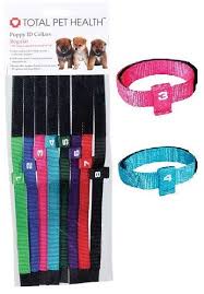 Puppy Id Collars Usa Seller Set Of 8 Litter Bands Color Coded Numbered Puppy Litter Pregnant Dog Dog Supplies
