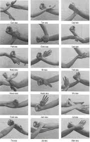 College Basketball Martial Wing Chun Martial Arts Kung Fu Martial Arts Marti Wing Chun Martial Arts Kung Fu Martial Arts Martial Arts