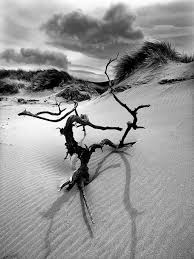 Best Black And White Landscape Photos Stunning Examples Of Digital Monochrome Photography Black And White Landscape Best Landscape Photography Monochrome Photography