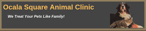 Rate all pets clinic now! Ocala Animal Blog Just Another Wordpress Site