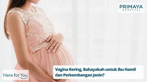 Daftar menu makanan untuk ibu hamil tadi memang dipercaya dapat menyehatkan mama dan membuat bayi sehat, berkulit putih dan bersih, mams. Vagina Kering Saat Hamil Apakah Berbahaya Primaya Hospital
