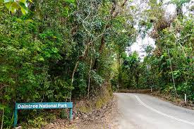 Expatica is the international community's online home away from home. Daintree Rainforest Cape Tribulation Wo Sich Regenwald Great Barrier Reef Treffen Passenger On Earth