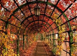 Pin On Inspiring Photographs
