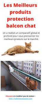 protection balcon chat fenetre griffoir hannuka-malvorlage.jpg