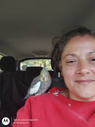 I will be in Blackbird Leys library for my regular surgery tomorrow morning  if you would like to drop in to raise any issues I can help with or just to  say