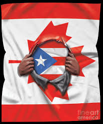 Ramón emeterio betances and embroidered by mariana brazos de oro bracetti. Puerto Rico Flag Canadian Flag Ripped Digital Art By Jose O
