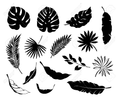 Download banana leaf images and photos. Set Of Tropical Leaves Collection Black Leaves Palm Fan Palm Royalty Free Cliparts Vectors And Stock Illustration Image 124526722