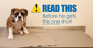 Maybe you would like to learn more about one of these? Know The Risks