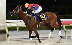 東京シティ競馬 - News update