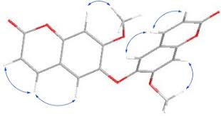 Image result for Dictyophleba lucida