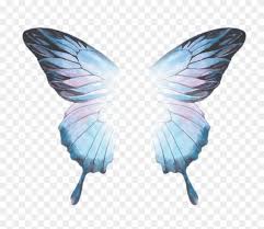 Largest Collection Of Free To Edit Butterfly Stickers Hd Png Download 1685x1380 2180346 Pngfind Use this image freely on your personal designing projects. largest collection of free to edit