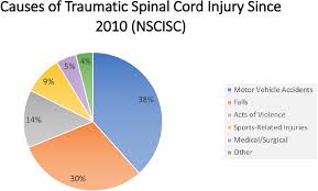 Economic Impact Of Traumatic Spinal Cord Injuries In The