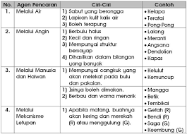 Seperti manusia, haiwan juga melalui proses hidup. Pin On Elainexanthony