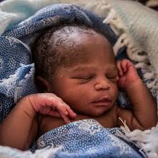 L Lovington-Williams (@mrlanell)