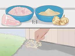 Simply get rid of any accumulated debris and seal up any potential snake accesses. 3 Ways To Get Rid Of Snakes Wikihow