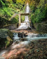We did not find results for: Harga Tiket Masuk Dan Lokasi Air Terjun Tirtosari Magetan Jatim