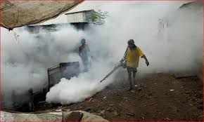 As a company, they promote and encourage ethical, responsible and safe work practices with all company team member. Prevention Pest Control India