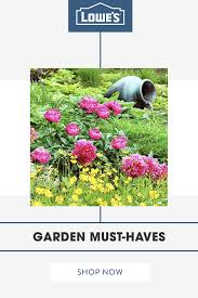 Since it was my childhood dream to have a swimming pool and a garden of my own, a villa seems like an i wish i could move to an apartment which is nearer to the city center since my house is very far from. Pin On Garden Stuff