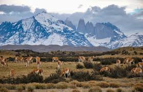 Noticias e información diaria en santiago de chile, valparaíso, rancagua, concepción, iquique Die 21 Schonsten Sehenswurdigkeiten In Chile