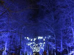 Sommerkonzerte, botanische nächte, der berliner staudenmarkt oder. Zu Besuch Im Christmas Garden Berlin Unterwegs In Berlin