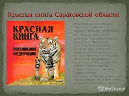 проект по окружающему миру 2 класс красная книга скачать бесплатно Prezentaciya Na Temu Prezentaciya K Uroku Po Okruzhayushemu Miru 3 Klass Po Teme Prezentaciya Krasnaya Kniga Saratovskoj Oblasti Zhivotnye Skachat Besplatno I Bez Registracii