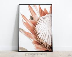Minimalistic Botanical Photography Prints By Lothography Room With Plants Plant Photography Botanical Prints
