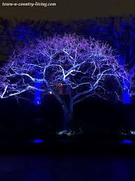 Spirit Of Christmas Lightscape At Chicago Botanic Garden Town Country Living Chicago Botanic Garden Garden Town Botanical Gardens