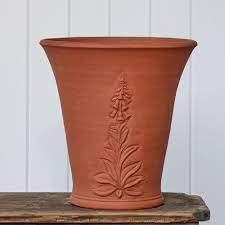 Rhs Foxglove Flowerpot Flower Pots Flower Spike White Flower Farm