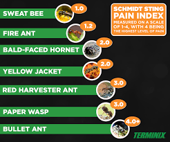 Pin On What S Buzzing With Terminix