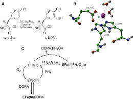 Les symptômes du sjsr se manifestent habituellement pendant les périodes de repos ou d'inactivité, et ils sont soulagés ou supprimés par le mouvement. Pdf Deregulation De La Dopamine Et Maladies Du Repos Maladie De Willis Ekbom Et Maladie De Parkinson Semantic Scholar