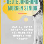 pin auf seniorpfoten hundeblog