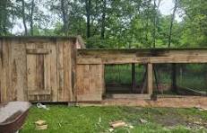 What are some ideas for chicken coop designs?