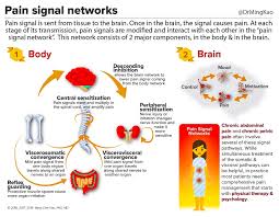 Pin On Crps Rsd