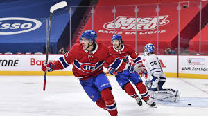 A usually green, flattened, lateral structure attached to a stem and functioning as a principal organ of photosynthesis and. Game In 10 Unbelievably We Re Off To Game 7 And It S No Less Than The Toronto Maple Leafs Deserve