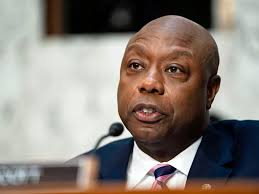 The smaller the CFPB, 'the better,' Senate banking chair says