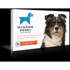 Wisdom Panel 3 0 Dog Breed Identification Dna Test Kit The 50 Best Gifts That Ll Blow Them Away This Year All From Walmart Popsugar Smart Living Photo 46