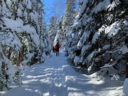 Par paul jacpier savoir monter des blancs d'oeuf en neige est très souvent nécessaire. Les Nouvelles De Nos Sentiers Acces Laurentides