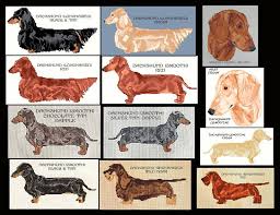 Details About Dachshund Counted Cross Stitch Pattern Cross
