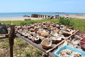 Brief information for travelers at planetofhotels.com. Best Of Nature At Sarawak S Western Most Tip