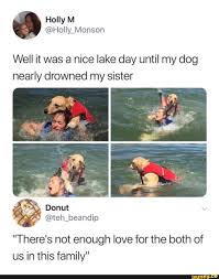 Well It Was A Nice Lake Day Until My Dog Nearly Drowned My Sister There S Not Enough Love For The Both Of Us In This Family Ifunny Funny Animal