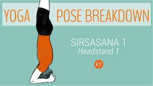 Many treat the tripod headstand as a more advanced version of sirsasana, but that's not always the case. How To Do Sirsasana Benefits Yoga Pose Tutorial Adventure Yoga Online