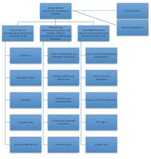 Organization Chart Student Affairs