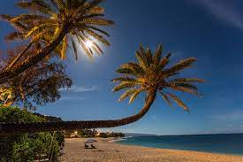 These palm trees at pu`uhonua o honaunau national historical park on. Amazon Com Palm Trees Under A Full Moon At Night Sunset Beach North Shore Oahu Hawaii Print Picture Photo Photograph Fine Art Handmade