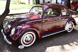 Image result for Medium Brown 1950 Beetle