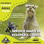 DiverCanes Guardería Canina - Peluquería Canina from m.facebook.com