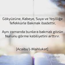 3 881 Begenme 20 Yorum Instagram Da Sifa I Ruh Sifairuh Gokyuzune Kabeye Suya Ve Yesillige Tefekkurle Bakmak Ibadet 2020 Bilgi Alintilari Guzel Soz Saglik