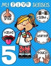 5 Senses Clipart Chart 5 Senses Chart Transparent Free For