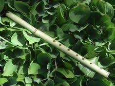 Picture Of Bamboo Flute End Blown Quena In 2020 Bamboo How To Make Flute