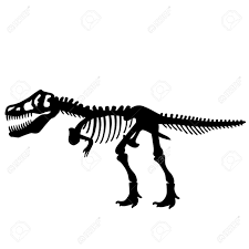 Check our collection of dinosaur skeleton clipart, search and use these free images for powerpoint presentation, reports, websites, pdf, graphic design or any other project you are working on now. Tyrannosaurs Rex T Rex Dinosaur Skeleton Royalty Free Cliparts Vectors And Stock Illustration Image 15467000