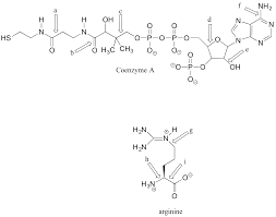For very simple molecules and molecular ions, we elements in the second period of the periodic table (n = 2) can accommodate only eight electrons in their valence shell orbitals because they have only four valence orbitals (one 2s and three 2p orbitals). 2 P Problems For Chapter 2 Chemistry Libretexts